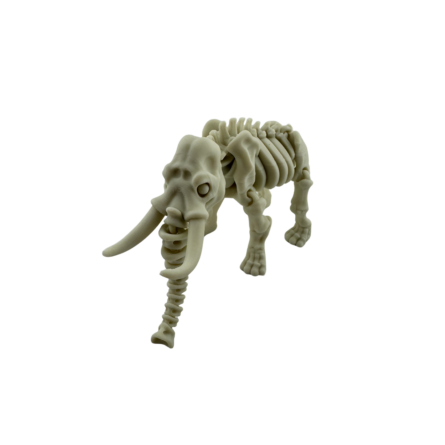 Skeleton Animals