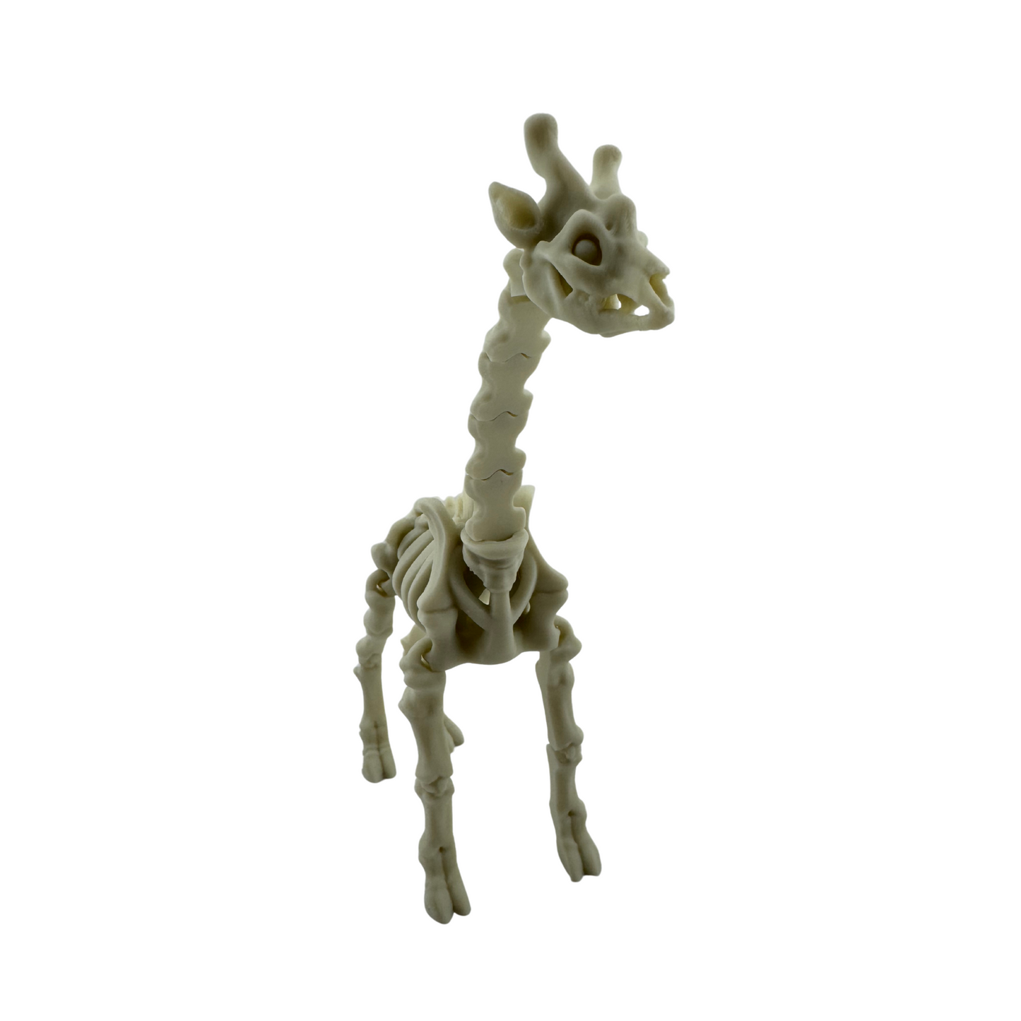 Skeleton Animals