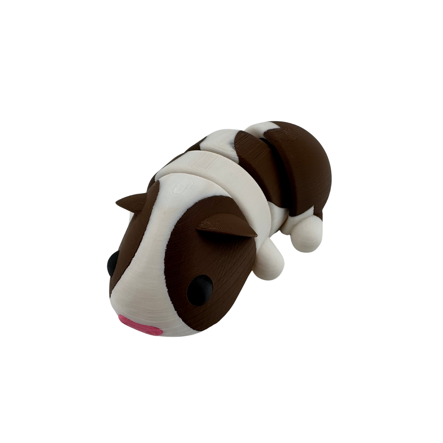 Guinea Pig