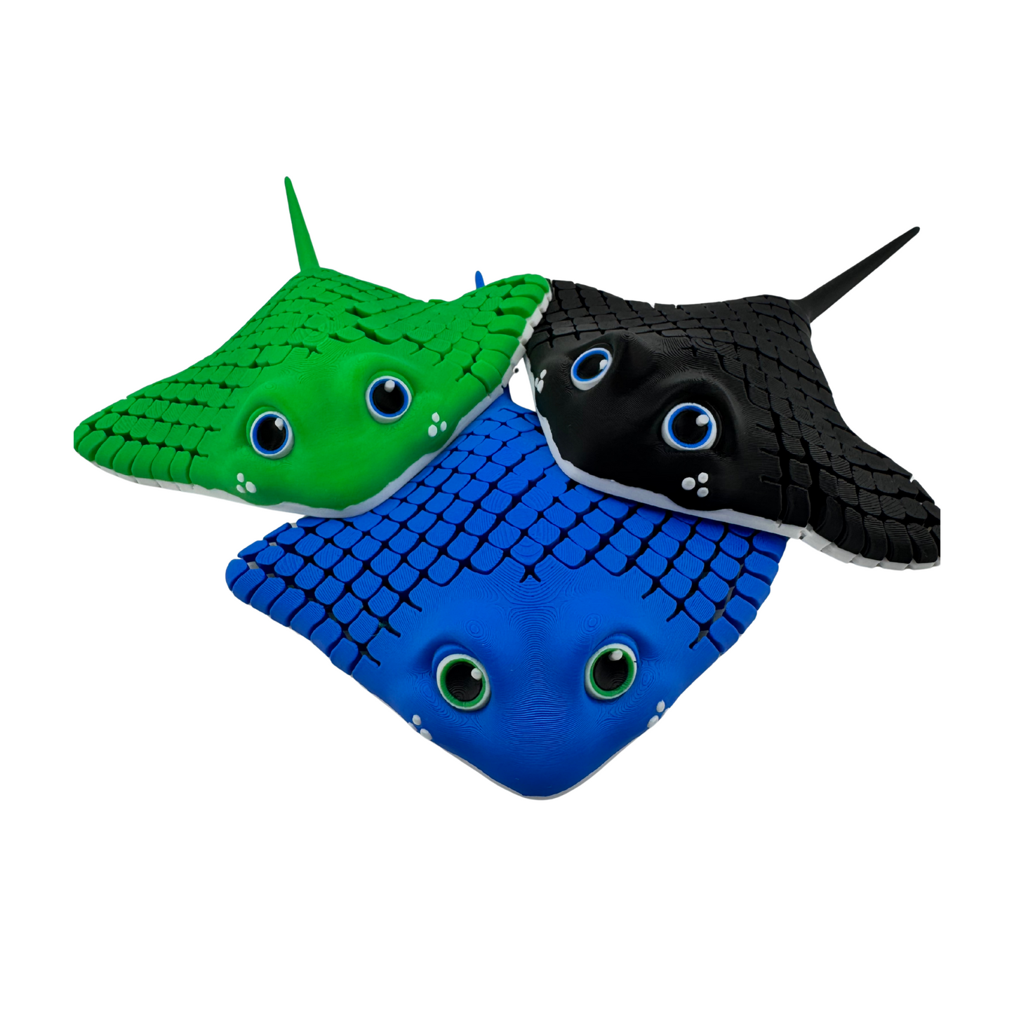 Manta Ray