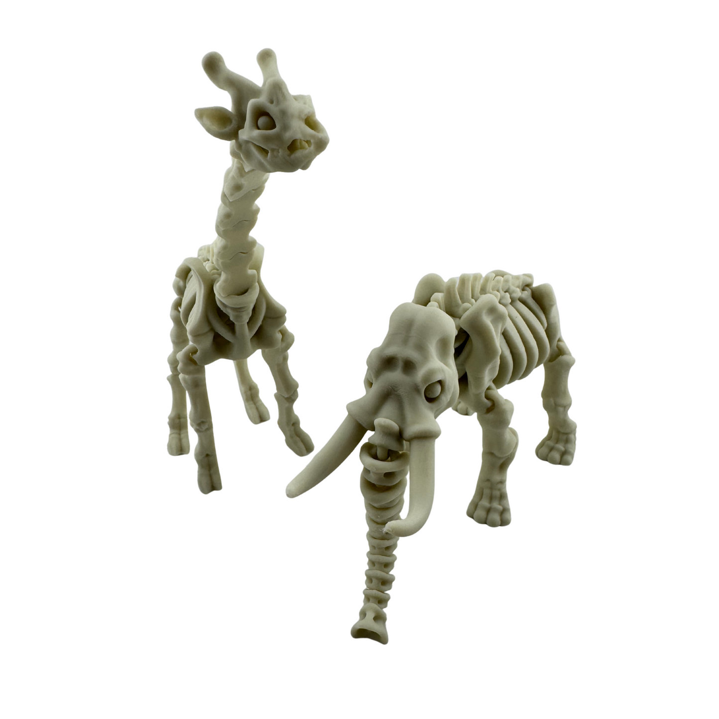 Skeleton Animals